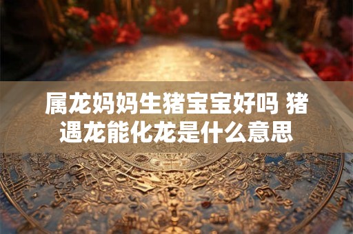 属龙妈妈生猪宝宝好吗 猪遇龙能化龙是什么意思