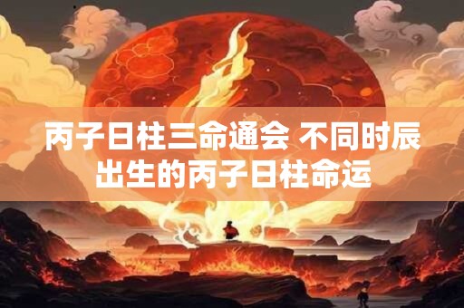 丙子日柱三命通会 不同时辰出生的丙子日柱命运