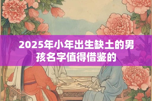 2025年小年出生缺土的男孩名字值得借鉴的
