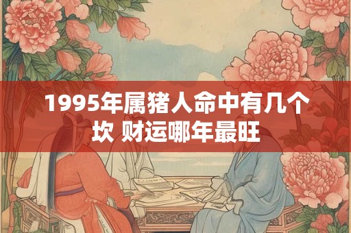1995年属猪人命中有几个坎 财运哪年最旺
