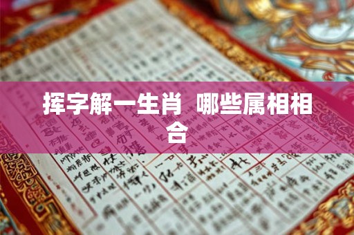 挥字解一生肖  哪些属相相合