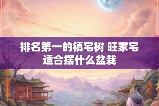 排名第一的镇宅树 旺家宅适合摆什么盆栽