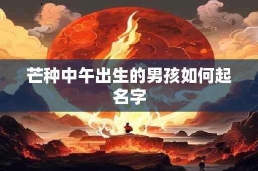 芒种中午出生的男孩如何起名字