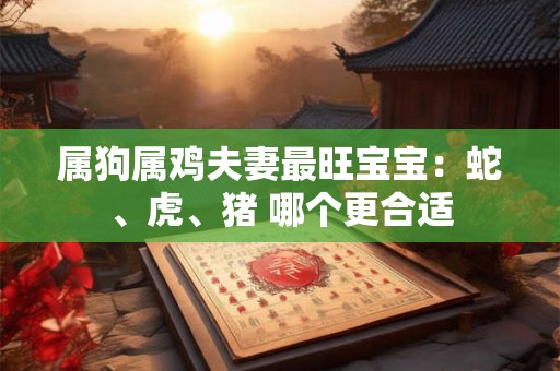 属狗属鸡夫妻最旺宝宝：蛇、虎、猪 哪个更合适