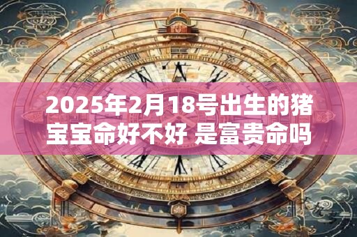 2025年2月18号出生的猪宝宝命好不好 是富贵命吗