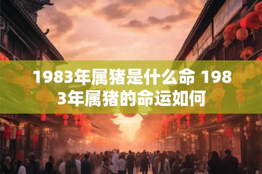 1983年属猪是什么命 1983年属猪的命运如何