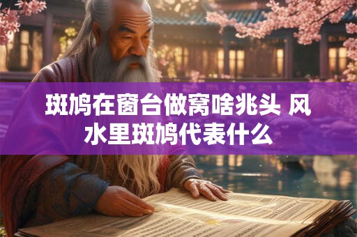 斑鸠在窗台做窝啥兆头 风水里斑鸠代表什么