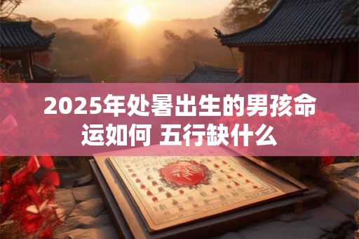 2025年处暑出生的男孩命运如何 五行缺什么