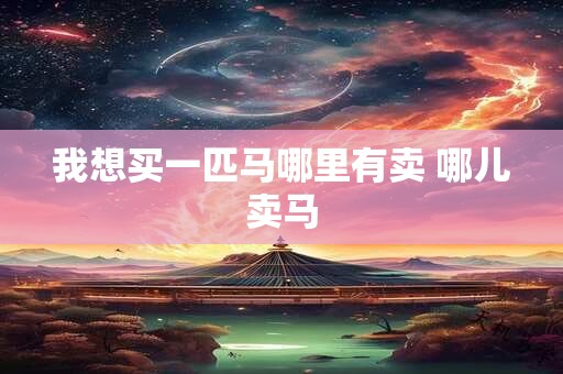 我想买一匹马哪里有卖 哪儿卖马