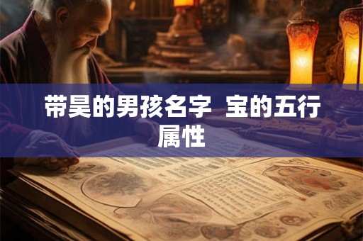 带昊的男孩名字  宝的五行属性