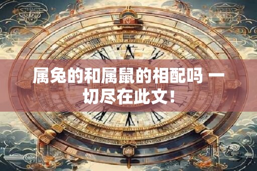 属兔的和属鼠的相配吗 一切尽在此文！