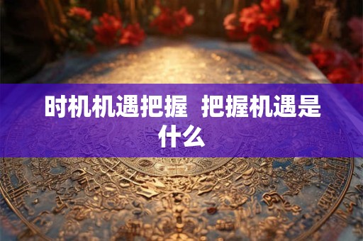 时机机遇把握  把握机遇是什么