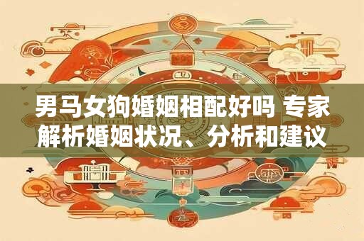 男马女狗婚姻相配好吗 专家解析婚姻状况、分析和建议
