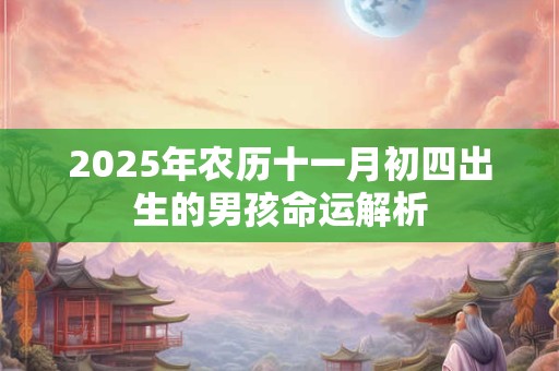 2026年农历十一月初四出生的男孩命运解析