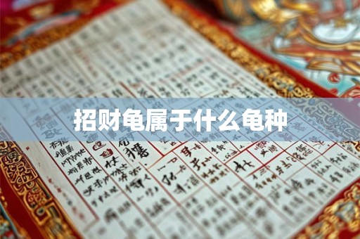招财龟属于什么龟种
