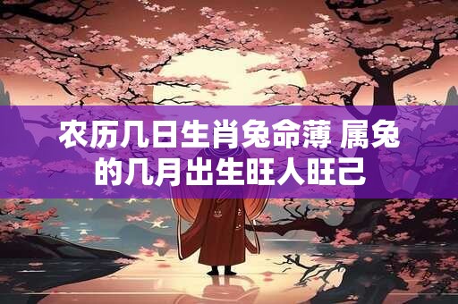 农历几日生肖兔命薄 属兔的几月出生旺人旺己