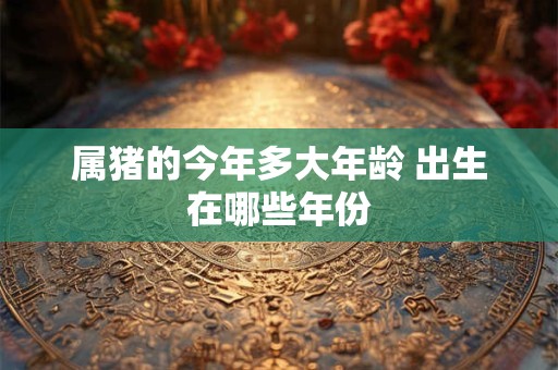 属猪的今年多大年龄 出生在哪些年份