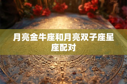 月亮金牛座和月亮双子座星座配对