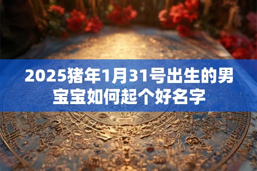 2025猪年1月31号出生的男宝宝如何起个好名字