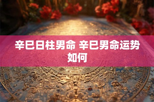 辛巳日柱男命 辛巳男命运势如何