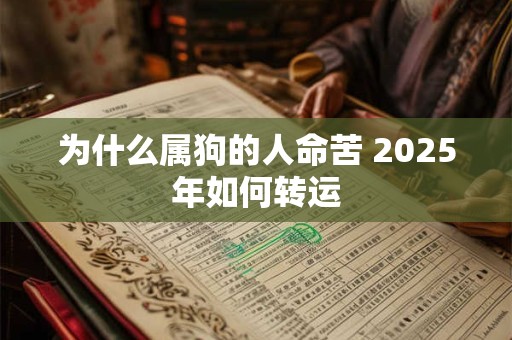 为什么属狗的人命苦 2025年如何转运