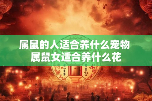 属鼠的人适合养什么宠物 属鼠女适合养什么花