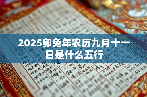 2025卯兔年农历九月十一日是什么五行