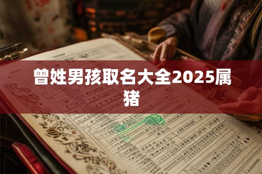 曾姓男孩取名大全2025属猪 曾姓男孩取名大全2025属猪