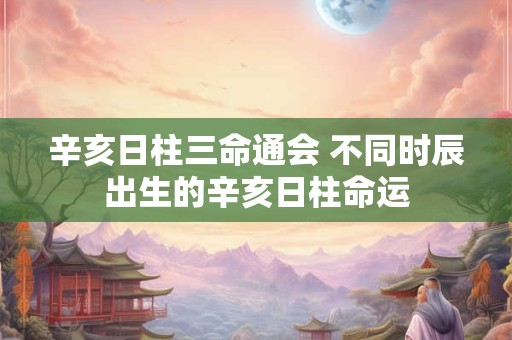 辛亥日柱三命通会 不同时辰出生的辛亥日柱命运