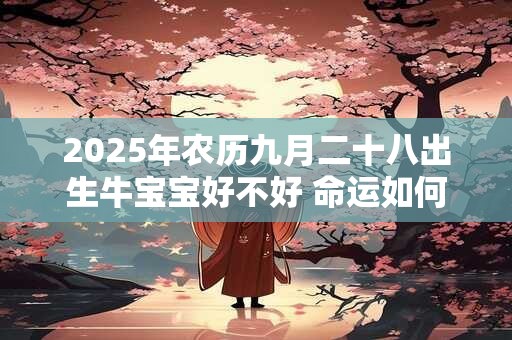 2025年农历九月二十八出生牛宝宝好不好 命运如何
