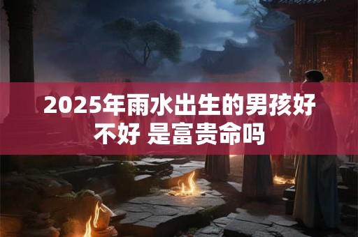 2025年雨水出生的男孩好不好 是富贵命吗