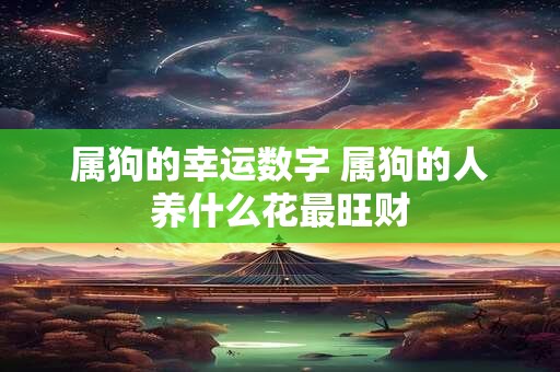 属狗的幸运数字 属狗的人养什么花最旺财 属狗的幸运数字 属狗的人养什么花最旺财