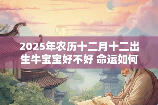 2025年农历十二月十二出生牛宝宝好不好 命运如何