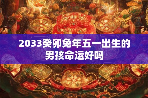 2033癸卯兔年五一出生的男孩命运好吗