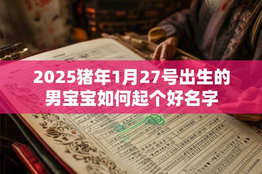 2025猪年1月27号出生的男宝宝如何起个好名字