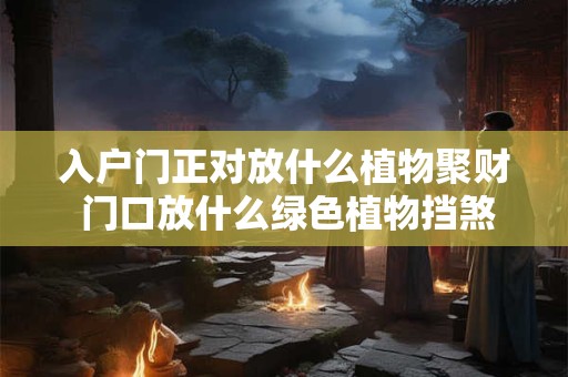 入户门正对放什么植物聚财 门口放什么绿色植物挡煞