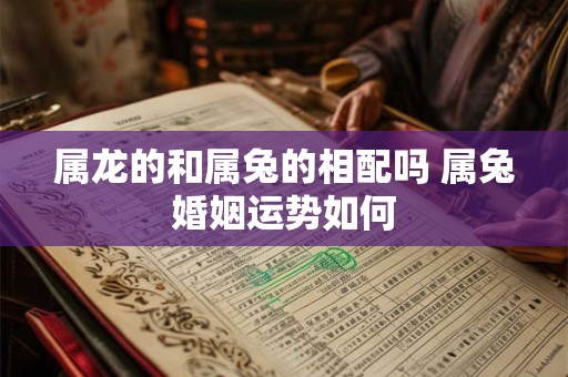 属龙的和属兔的相配吗 属兔婚姻运势如何
