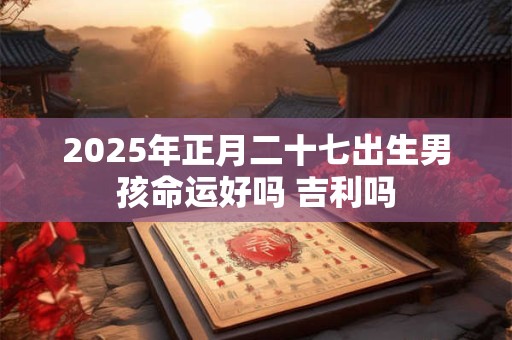 2025年正月二十七出生男孩命运好吗 吉利吗 2025年正月二十七出生男孩命运好吗 吉利吗