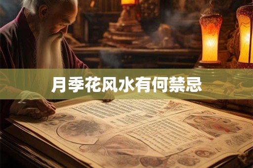 月季花风水有何禁忌