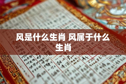 风是什么生肖 风属于什么生肖