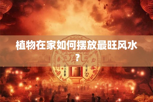 植物在家如何摆放最旺风水？