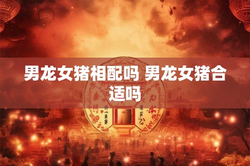 男龙女猪相配吗 男龙女猪合适吗