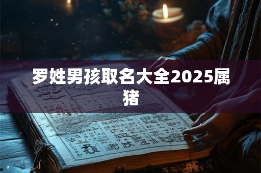 详细阅读:罗姓男孩取名大全2025属猪 罗姓男孩取名大全2025属猪
