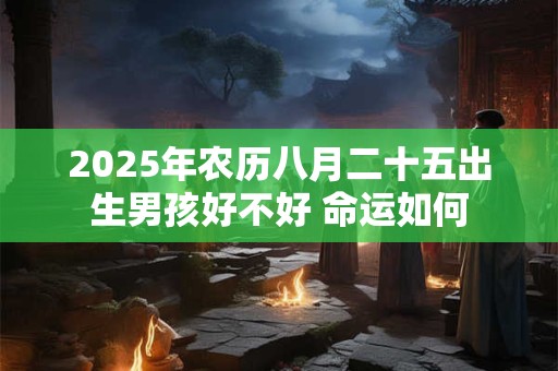 2025年农历八月二十五出生男孩好不好 命运如何 2025年农历八月二十五出生男孩好不好 命运如何