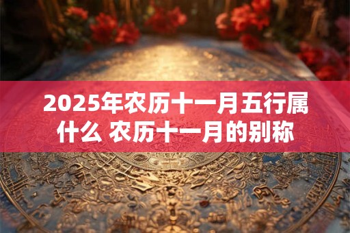 2025年农历十一月五行属什么 农历十一月的别称