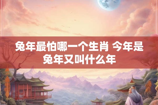 兔年最怕哪一个生肖 今年是兔年又叫什么年