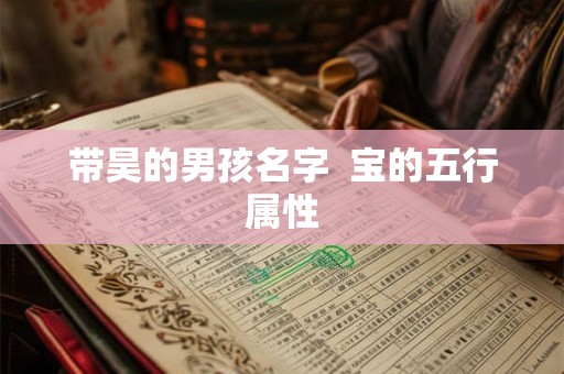 带昊的男孩名字  宝的五行属性