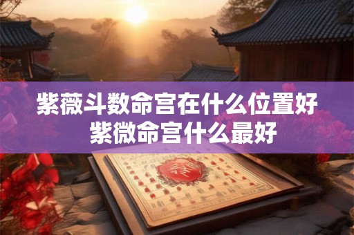 紫薇斗数命宫在什么位置好  紫微命宫什么最好