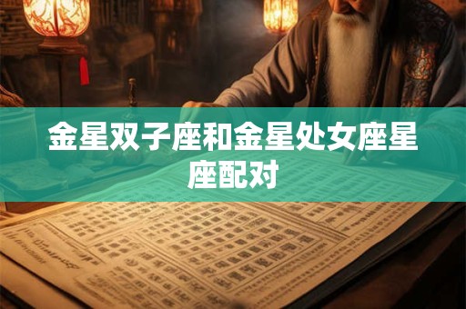 金星双子座和金星处女座星座配对