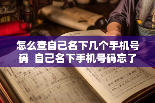 怎么查自己名下几个手机号码  自己名下手机号码忘了怎么查